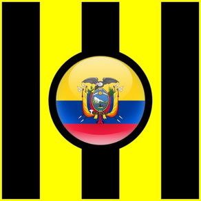 Los Aurinegros - Fútbol de Ecuador
