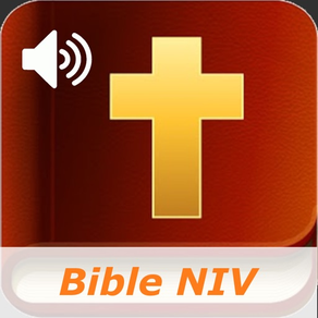 New International Bible Audio