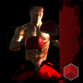 boxing World Championship 3D