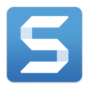 TechSmith Snagit 2019