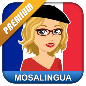 Aprende francés: MosaLingua