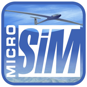 Micro Sim