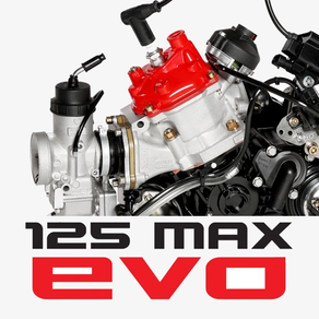 Carburação Rotax Max EVO Kart