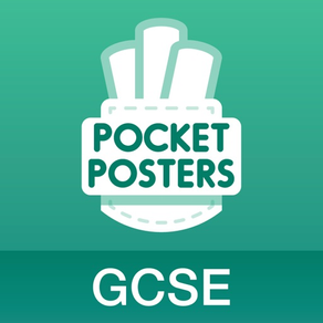 Geography GCSE Pocket Poster