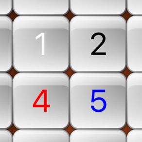 Sudoku Puzzle