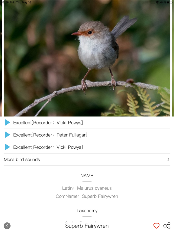 Bird ID Pro-Picture&Audio 포스터