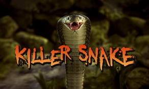 Killer Snake