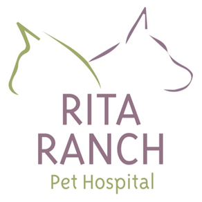 Rita Ranch Pets