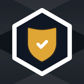 VPN ALFA: protection service