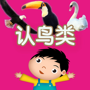 鸟儿的童年汉字早教- 教育学前班孩子的认字游戏