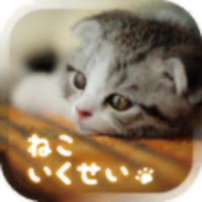 癒しの猫育成ゲーム3D