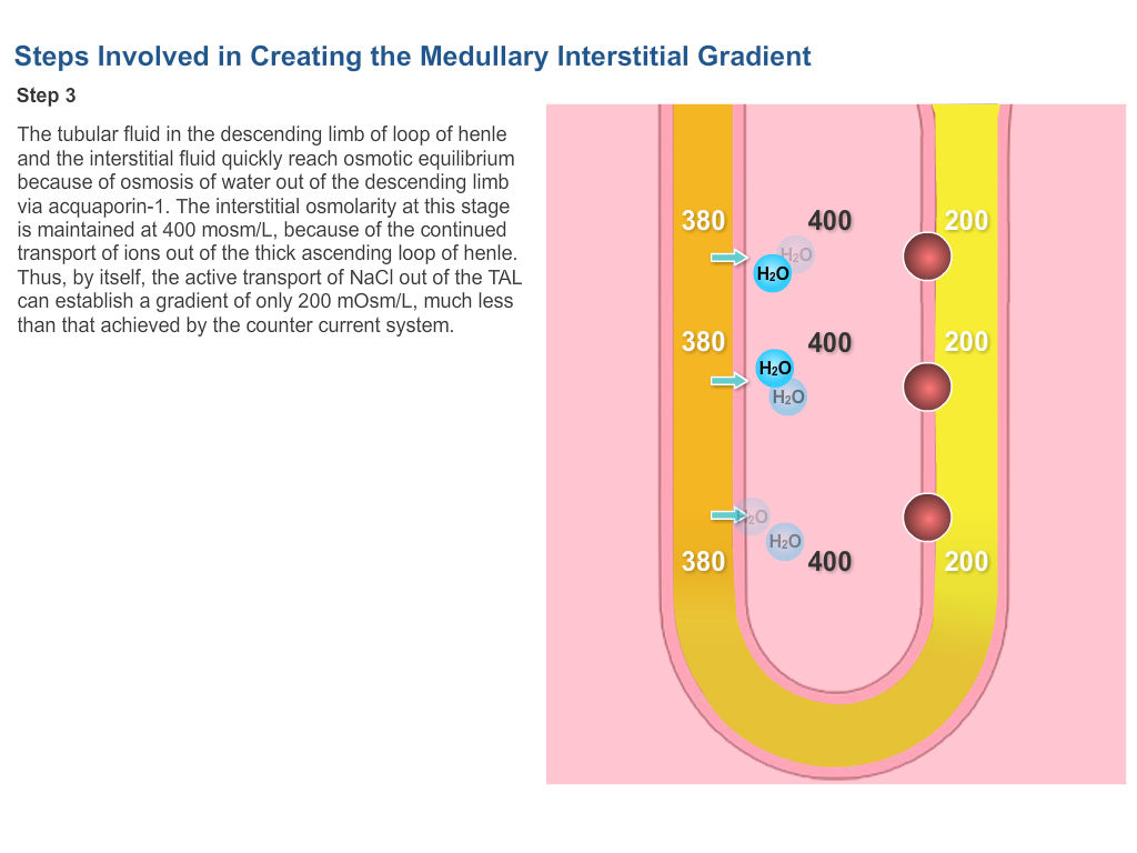 Physiology Learning Pro poster