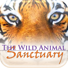 The Wild Animal Sanctuary