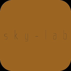 Skylab Sydney
