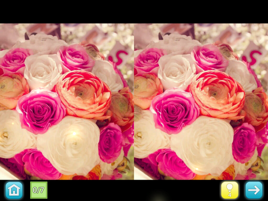 Lemon - Find differences 포스터
