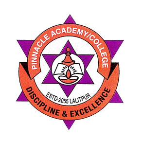 Pinnacle Academy