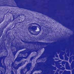 流動的藍色浮夢：海洋文學作家 夏曼‧藍波安
