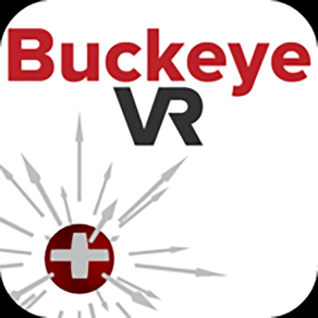 BuckeyeVR Electric Field VR