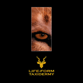Skinning with Life-form Taxidermy