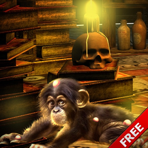 Escape Games Magician Monkey Cure