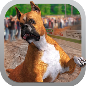 Dog Race Greyhound 3D