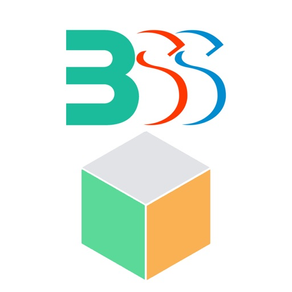 BSS MetricS