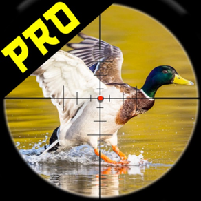 Jungle Birds Shooter Pro: Caça