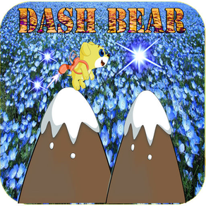 dash bear