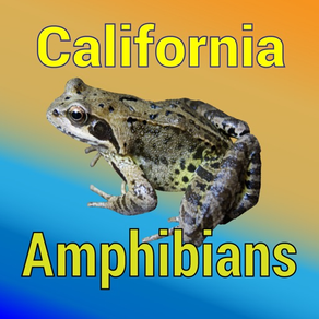 California Amphibians