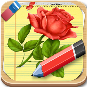 Learn to Draw Flowers