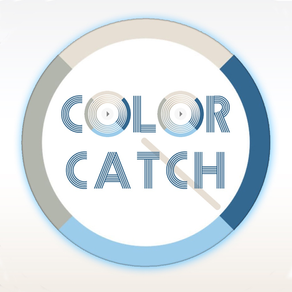 Color Catch: Spin Challenge