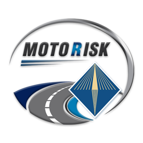 MOTOR RISK