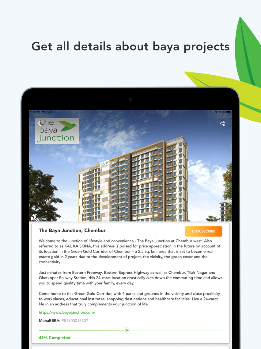 The Baya Company poster