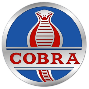 Cobra Softwares Inc