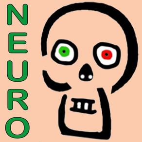 Skeletto-Neuro Anatomie