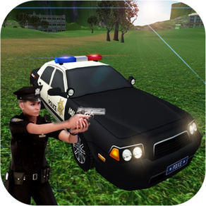 Police Criminal Mission