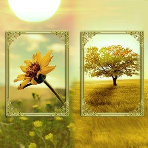 Beautiful Nature Photo Frame