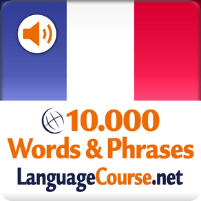 Learn French Words & Phrases