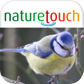 Identify 500 birds, naturetouch