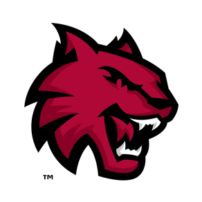 CWU Wildcat Connect