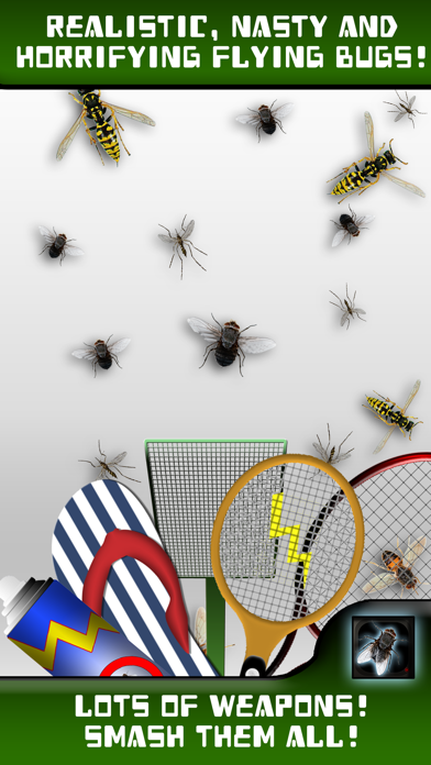 Where's that Fly? poster