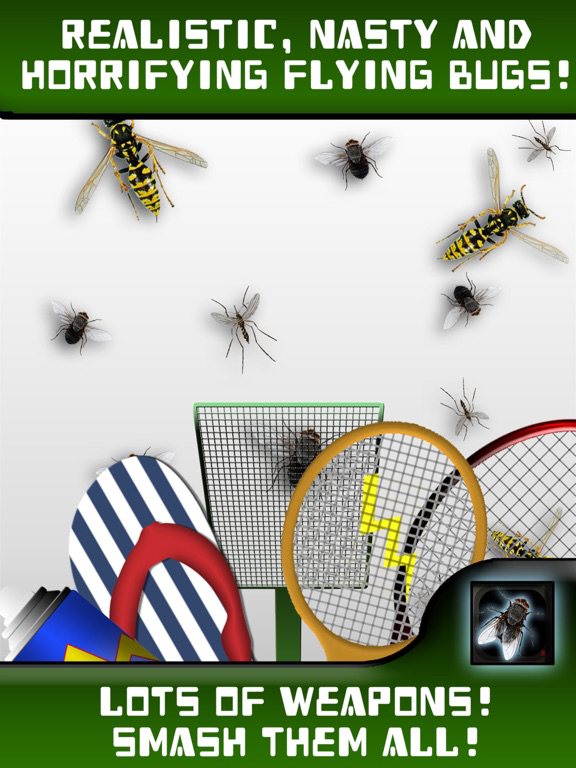 Where's that Fly? poster