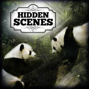 Hidden Scenes - Into the Wild