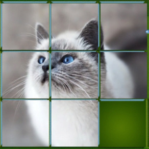 Puzzle spiel Tier