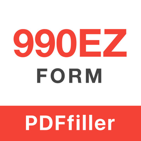 990EZ Form: fill & send PDF