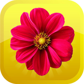 Flowers-Emojis