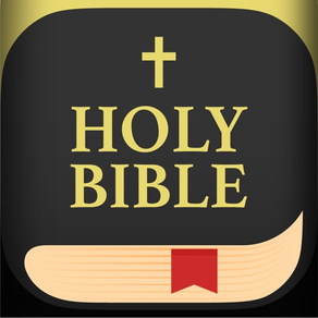 Bible: Accessible Widget, Chat