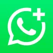 WhatsApp Business