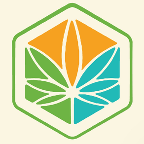 Cannabis News Box