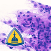 Surgical Neuropathology